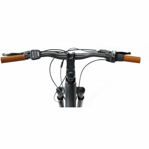 Sharp Straßenfahrrad - Batterie - 250 W Antrieb - Stahl Rahmen6 Gang/Gänge - Schwarz, Braun