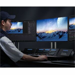 Asus ProArt PA32UCDM 32" Class 4K UHD OLED Monitor - 16:9 - 31.5" Viewable - Quantum Dot OLED - Quantum Dot OLED Backlight