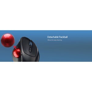 Adesso iMouse T30 Mouse - Radio Frequency - USB - Optical - 7 Button(s) - Black - Wireless - 2.40 GHz - 4800 dpi - Trackba