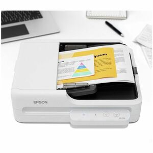 Epson B11B273201 Large Format Flatbed/ADF Scanner - 600 x 1200 dpi Optical - 30-bit Color - 10-bit Grayscale - 30 ppm (Mon