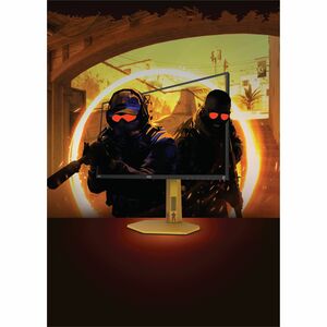 24.5 CS2 Special Eddition Fast IPS FHD Adaptive Sync 0.3ms 310Hz OC HDR400 2H1DP Borderless Height Adjustable Stand VESA 1