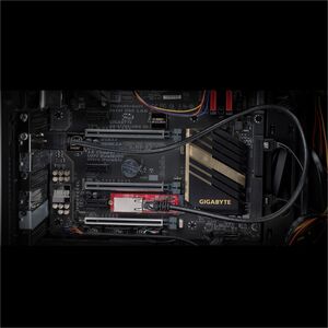 StarTech.com 2.5Gigabit Ethernet Adapter - M.2 - 2.50 Gbit/s Data Transfer Rate - Intel I225-V - 1 Port(s) - 1 - Twisted P