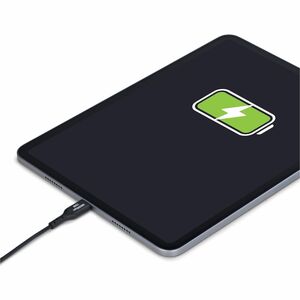 1ft USB-A to USB-C Charging Cable