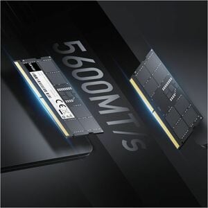 LEXAR Module de RAM pour Notebook, PC All-in-One, Mini PC, Ordinateur, Caméra - 16 Go (1 x 16GB) - DDR5-5600/PC5-44800 DDR