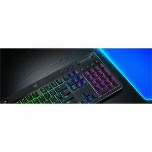 Clavier de jeu Razer BlackWidow V4 - Pleine taille - Câblé / Sans fil Connectivité - USB Type C Interface - RGB LED - Fran