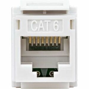 StarTech Cat6 Keystone Jack, 24-Pack RJ45 Ethernet Keystone Jacks, UTP Cat6 Wall Jack, 180-Degree 110 Punch Down, White - 