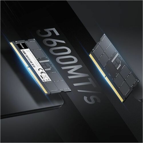 LEXAR Module de RAM pour Notebook, PC All-in-One, Mini PC, Ordinateur, Caméra - 16 Go (1 x 16GB) - DDR5-5600/PC5-44800 DDR