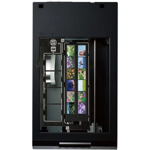 Epson Perfection V550 Flatbed Scanner - 6400 dpi Optical - 48-bit Color - 16-bit Grayscale - Desktop - USB
