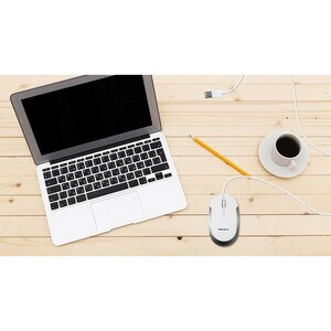 Macally USB Optical Quiet Click Mouse for Mac/PC in White & Aluminum - Optical - Cable - Aluminum, White - USB - 2400 dpi 