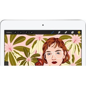 Apple iPad . Bildschirmdiagonale: 25,9 cm (10.2 Zoll), Bildschirmauflösung: 2160 x 1620 Pixel. Interne Speicherkapazität: 