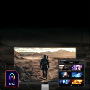 BenQ MOBIUZ EX240N 24.0" Class Full HD Gaming LED Monitor - 16:9 - Grey - 60.5 cm (23.8") Viewable - Vertical Alignment (V