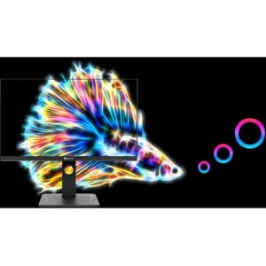 AG Neovo Ultrawide DW3401 34" Class UW-QHD LCD Monitor - 21:9 - Black - 86.4 cm (34") Viewable - In-plane Switching (IPS) 
