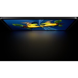 Apple iPad Pro (4th Generation) Tablet - 27.94 cm (11") - Apple M2 Octa-core - 8 GB - 1 TB Storage - 5G - Space Gray - 238
