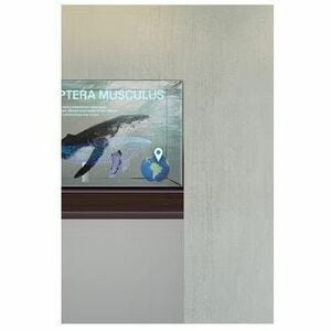 LG 30EW5TP-A Transparent OLED Touch Signage - 30" (762 mm) LCD - OLED - Touchscreen - 18 Hours/7 Days Operation - 1366 x 7