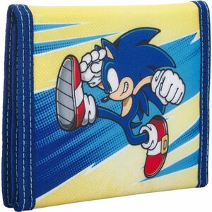 ESTUCHE PROTECTOR SWITCH SONIC KICK