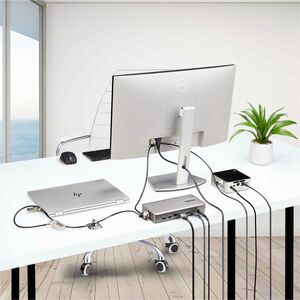 StarTech.com Laptop/Desktop & Peripheral Lock Kit, 9.8ft (3m) Steel Cable, Theft-Deterring Security Lock, K-Slot, For 3x D