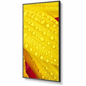 NEC Display MultiSync M431-2 1092.20 mm LCD Digital Signage Display - 24 Hours/7 Days Operation - Energy Star - In-plane S