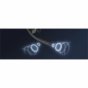 Shokz OpenMeet Kabellos Kopfbügel, Auf den Ohren, Über das Ohr Stereo Ohrhörerset - Schwarz - Binaural - Offen - 3000 cm R