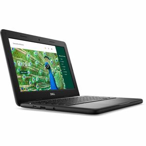 Dell Chromebook 3000 3120 11.6" Touchscreen Clamshell Chromebook - HD - Intel N-Series N100 - 4 GB - 64 GB Flash Memory - 