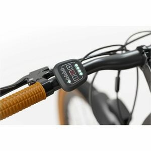 Sharp Straßenfahrrad - Batterie - 250 W Antrieb - Stahl Rahmen6 Gang/Gänge - Schwarz, Braun