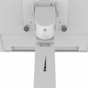 Ergotron Mounting Arm for Monitor, Display, LCD Display - White - Height Adjustable - 1 Display(s) Supported - 86.4 cm (34