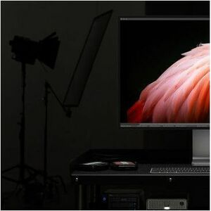 Apple Pro Display XDR 32" Class 6K LED Monitor - 16:9 - 81.3 cm (32") Viewable - In-plane Switching (IPS) Technology - LED