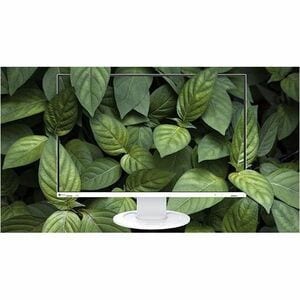 EIZO FlexScan EV2410R-WT 24" Class WUXGA LED Monitor - 16:10 - White - 61.2 cm (24.1") Viewable - In-plane Switching (IPS)