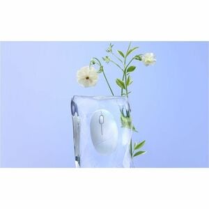 Asus Fragrance MD101 MOUSE/WH/IN Mouse - Bluetooth/Radio Frequency - Optical - White - Wireless - 10 m (393.70") - 2.40 GH