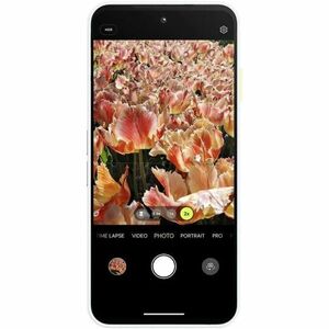 Fairphone 6 256 GB Smartphone - 16 cm (6.3") LTPO OLED Full HD 1116 x 2484 - Octa-core (Cortex A720Single-core (1 Core) 2.