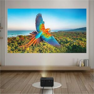 Optoma Photon Life PK31 DLP-Projektor - 16:9 - Schwarz - Hoher Dynamikbereich (High Dynamic Range, HDR) - 200,000:1 Kontra