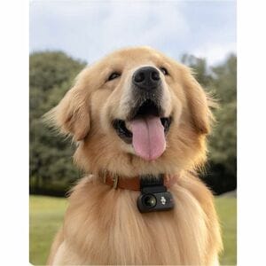 DJI Osmo Professional Digital Camcorder - 5 cm (2") OLED Touchscreen - 1/1.3" CMOS - 4K, 2.7K, Full HD - 35 Megapixel Imag