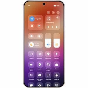 Vivo X300 256 GB Smartphone - 16 cm (6,3 Zoll) LTPO AMOLED HDR10+ 2640 x 1216 - Octa-Core (Single-Core 4,21 GHz Triple-Cor