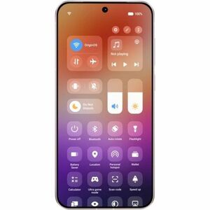 Vivo X300 256 GB Smartphone - 16 cm (6,3 Zoll) LTPO AMOLED HDR10+ 2640 x 1216 - Octa-Core (Single-Core 4,21 GHz Triple-Cor