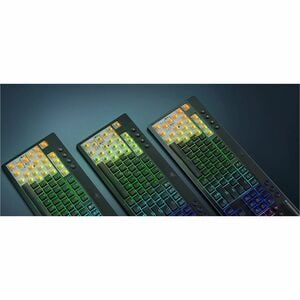 Clavier de jeu Razer BlackWidow V4 - Pleine taille - Câblé / Sans fil Connectivité - USB Type C Interface - RGB LED - Fran