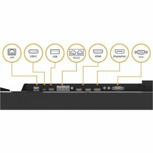 AG Neovo PD-5502 1386.84 mm LCD Digital Signage Display - 24 Hours/7 Days Operation - In-plane Switching (IPS) Technology 