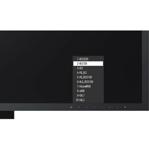 EIZO ColorEdge CG319X 31.1" 4K LCD Monitor - 17:9 - Black - 4096 x 2160 - 350 Nit Typical - 9 ms - HDMI - DisplayPort