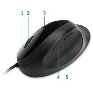 Souris Optique Kensington Pro Fit - USB - 5 Bouton(s) - Noir - Câble - 3200 dpi - Droitier