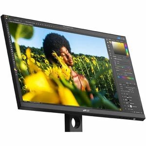 Mobile Pixels 116-1003P01 24" Class Full HD LCD Monitor - Black - 23.8" Viewable - In-plane Switching (IPS) Technology - L