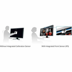 EIZO RadiForce MX317W-BK 31" Class 4K LED Monitor - 17:9 - Black - 30.5" Viewable - In-plane Switching (IPS) Technology - 