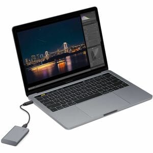 LaCie Secure Tragbar Solid State-Laufwerk - 2,5" Extern - 500 GB - USB-Typ C, USB 3.0, USB 3.1 Typ C - 256-bit AES Verschl