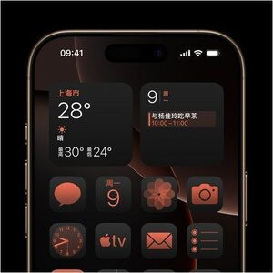 Apple iPhone 16 Pro A3294 1 TB 智能电话 - 16 cm (6.3") OLED 2622 x 1206 - 六核（6 核） - 8 GB RAM - 5G - 条 - Apple A18 Pro (3 nm) S