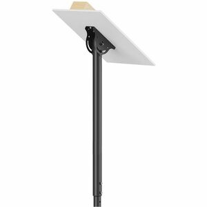 Neomounts Ceiling Mount for TV - Black - Height Adjustable - 1 Display(s) Supported - 94 cm to 177.8 cm (70") Screen Suppo