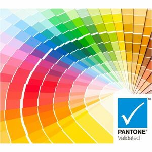 ViewSonic VP2456A 24 Inch 1080p IPS Monitor with Advanced Ergonomics, ColorPro 100% sRGB Rec 709, Pantone Validated, 14-bi