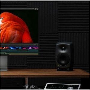 Apple Pro Display XDR 32" Class 6K LED Monitor - 16:9 - 81.3 cm (32") Viewable - In-plane Switching (IPS) Technology - LED