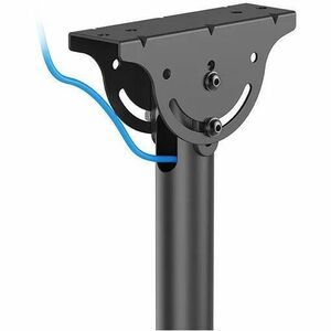 Neomounts Ceiling Mount for TV - Black - Height Adjustable - 2 Display(s) Supported - 58.4 cm to 109.2 cm (43") Screen Sup