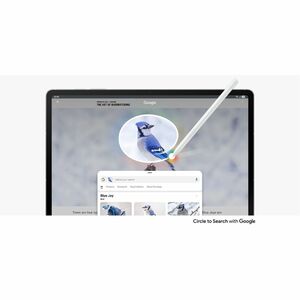 Samsung Galaxy Tab S10 FE+ SM-X620 Tablet - 13.1" WQXGA+ - Samsung Exynos 1580 (4 nm) Octa-core - 8 GB - 128 GB Storage - 