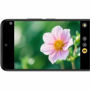 TCL 605 256 GB Smartphone - 17 cm (6.7") LCD HD+ 720 x 1600 - Octa-core (Cortex A75Dual-core (2 Core) 2 GHz + Cortex A55 H