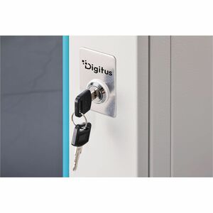 Digitus Dynamic-N 9U Wandmontierbar Geschlossener Schrank Rackschrank für Networking, Server - Hellgrau - Glas, Stahl, Ble