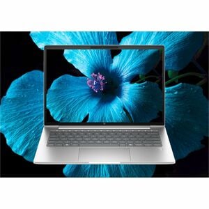 HP ProBook 4 G1i 40.6 cm (16") Notebook - WUXGA - Intel Core Ultra 5 Series 2 225U - 16 GB - 512 GB SSD - Pike Silver - In