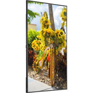 NEC Display MultiSync C551 139.7 cm (55") LCD Digital Signage Display - 1920 x 1080 - Edge LED - 400 cd/m² - 1080p - HDMI